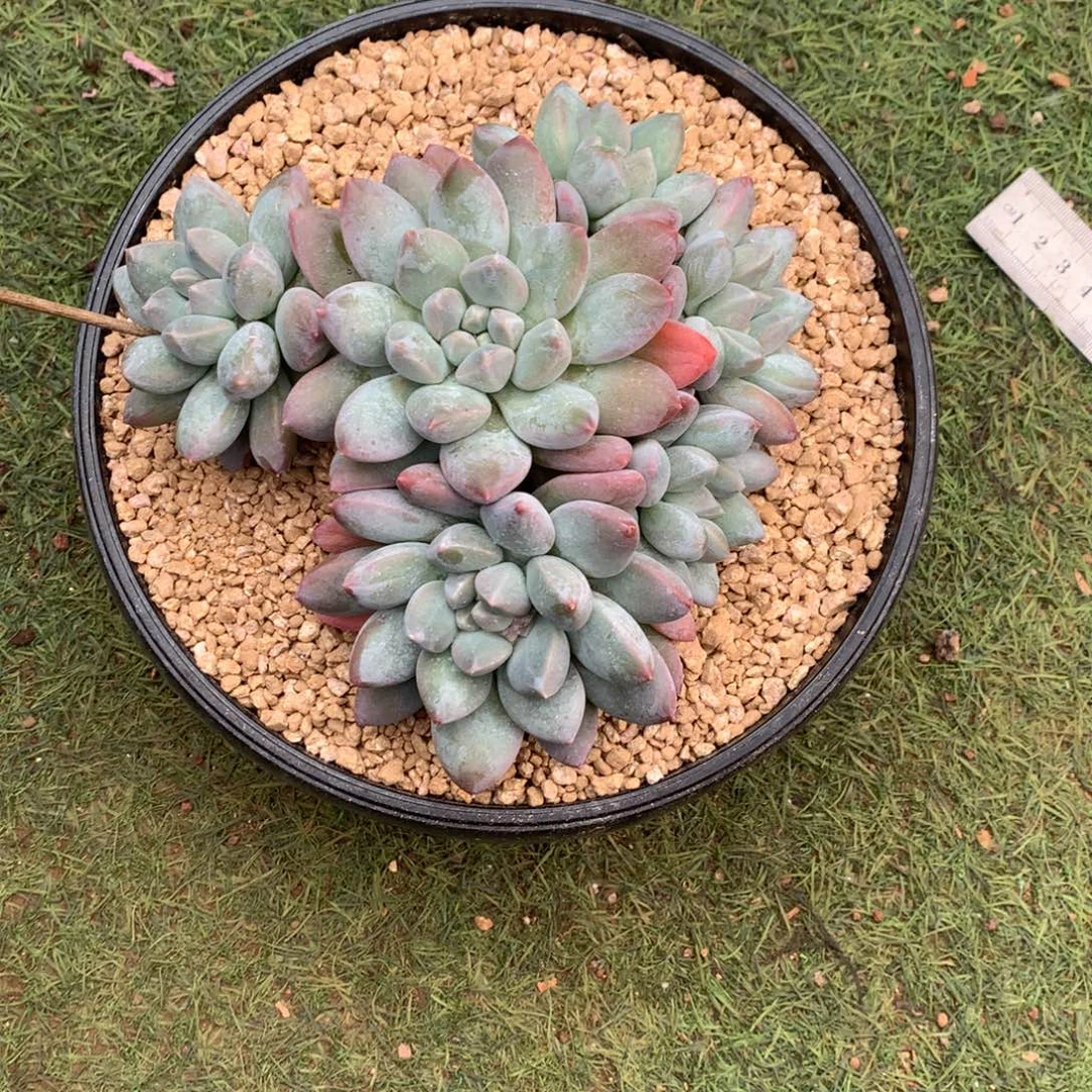 开播福利哈哈哈哈哈