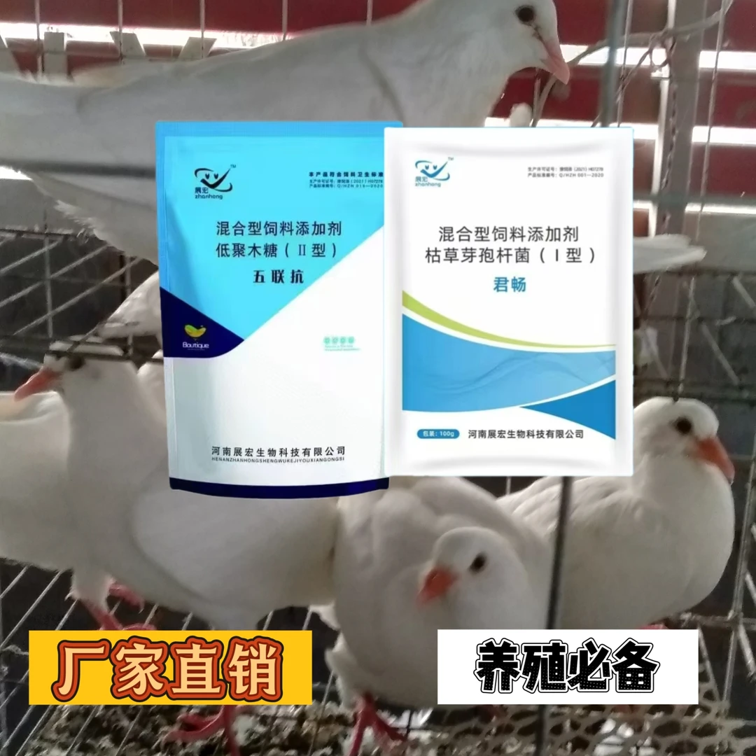 五联抗+君畅:针对拉稀病毒病提升抗体免疫力抑制病毒使用