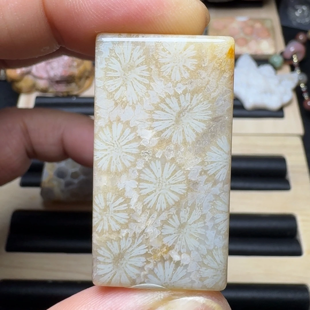 未镶嵌纯天然色有机玉石保真色硅化玉