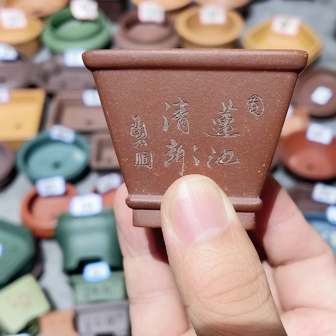 紫砂小盆4.5*3.5cmmmm