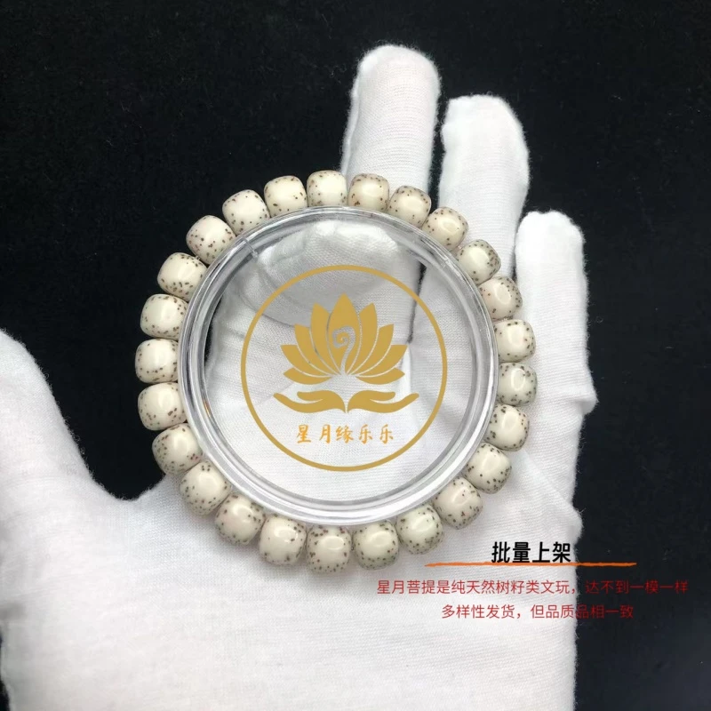 HZ41原生态星月菩提手串河豚针尖星9*8mm文玩好物【多样性发货】