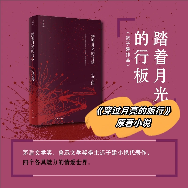 踏着月光的行板 茅盾文学奖、鲁迅文学奖得主迟子建小说代表作