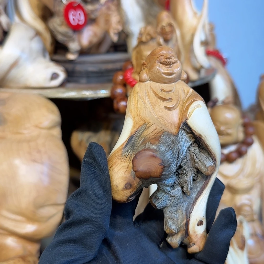 柏木（崖柏）66666666