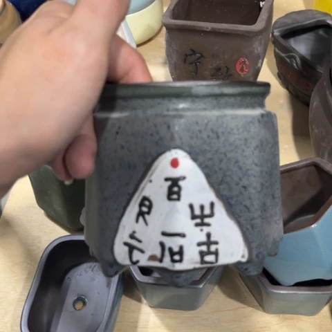 ［所有订单凑满15包邮］10+10