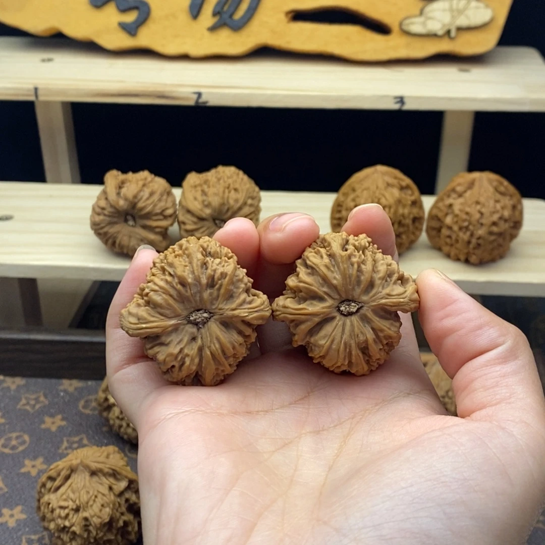 有***的柏香籽/百香籽吊坠涿鹿一代老树南将