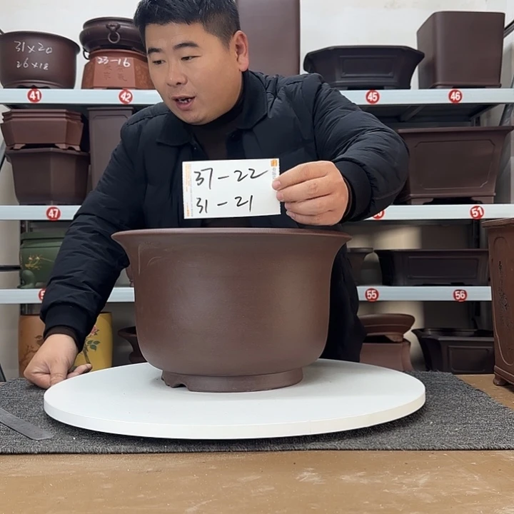 花盆紫砂这是什么