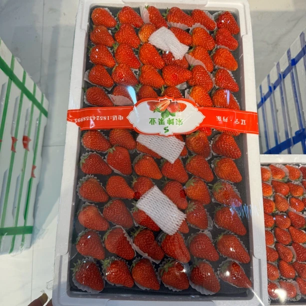 丹东久久草莓大6排   箱/3.5斤左右99草莓