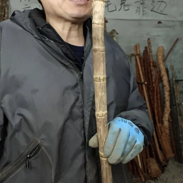 稳定木?****?贵州檬子木   铁马鞭   根艺  半成品