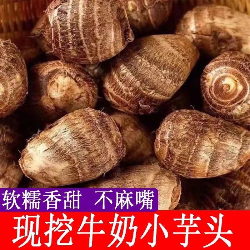 云南新鲜牛奶小芋头现挖现发香糯粉滑时令应季蔬菜