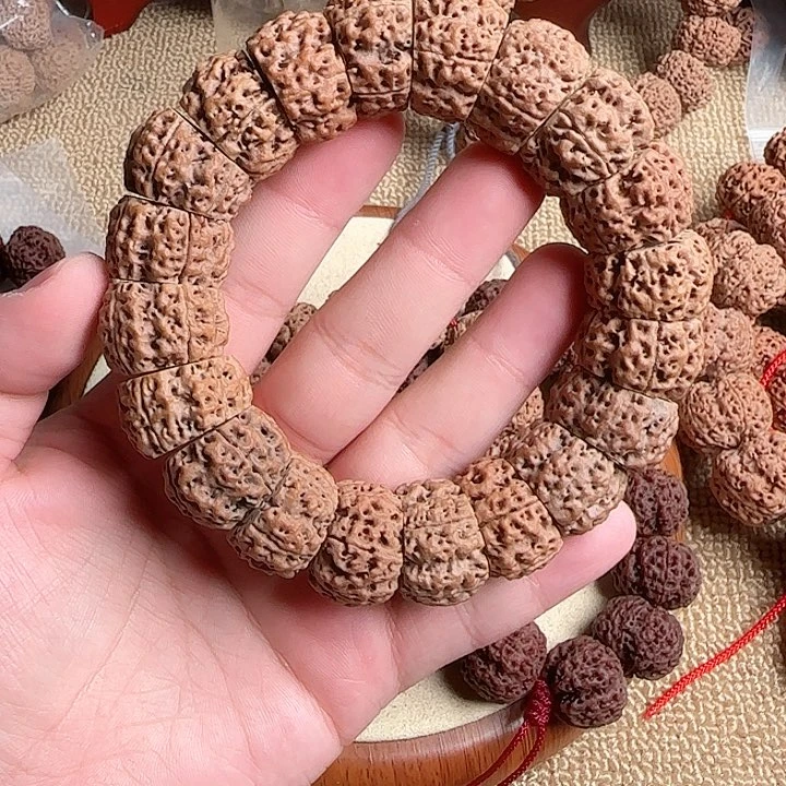 金刚菩提手串虫*金刚