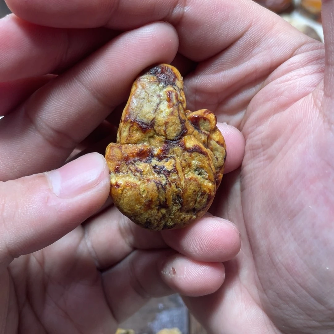 定制琥珀大**家天然原矿