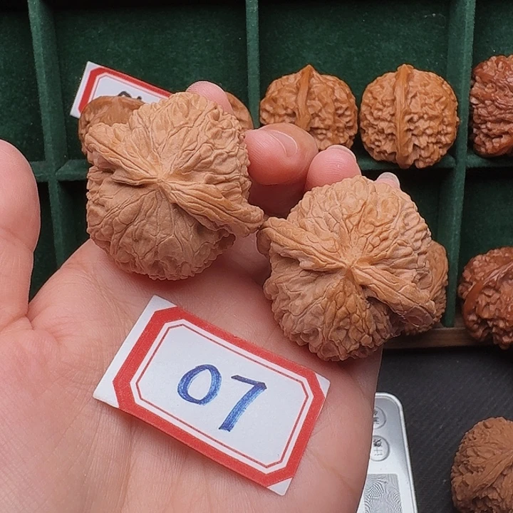把件文玩核桃白狮子42尺