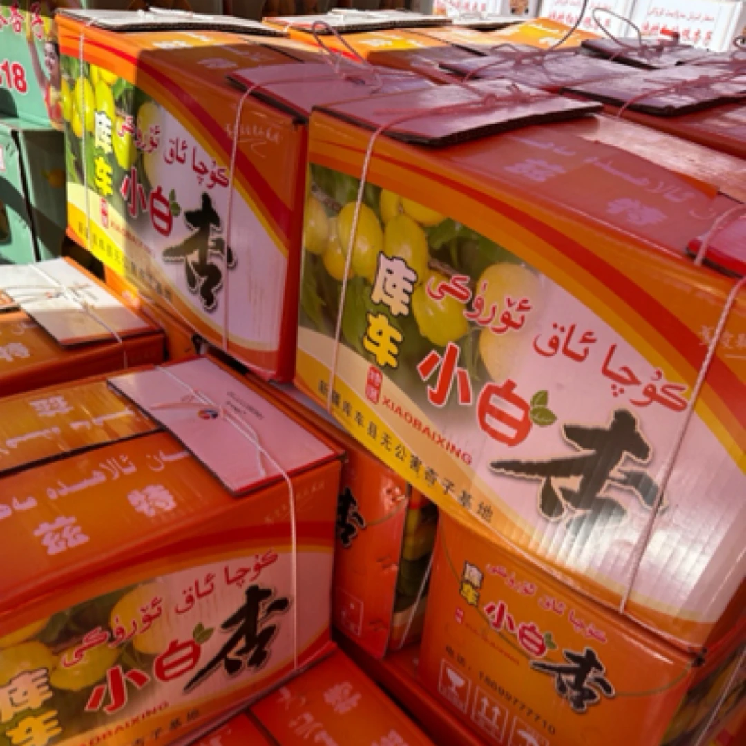 库车小白杏杏子甜