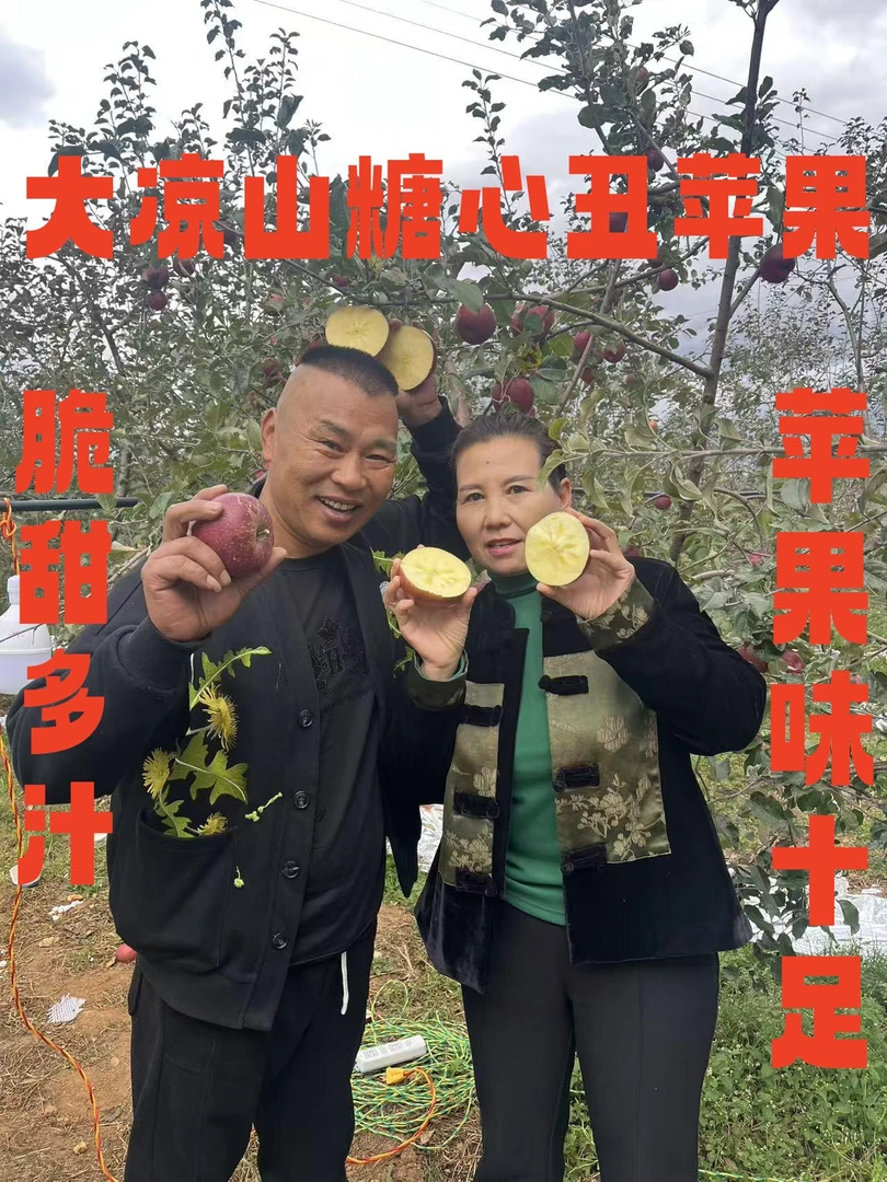 【臭大美专属】四川大凉山盐源糖心丑苹果产地直发