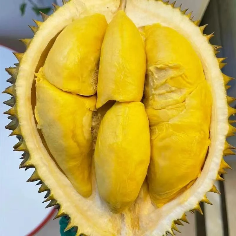 威海经区新鲜金枕榴莲一果一重正常核大小/辨别生熟再开果金枕泰国