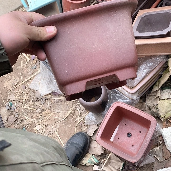 紫砂哈哈真的是太给力太多