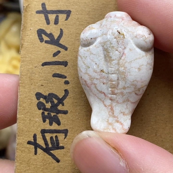 硅化珊瑚（珊瑚玉）未镶嵌颈饰