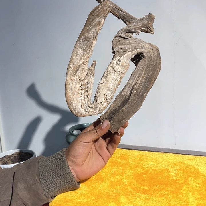 一***哥柏木崖柏等自然景和自然风光为主