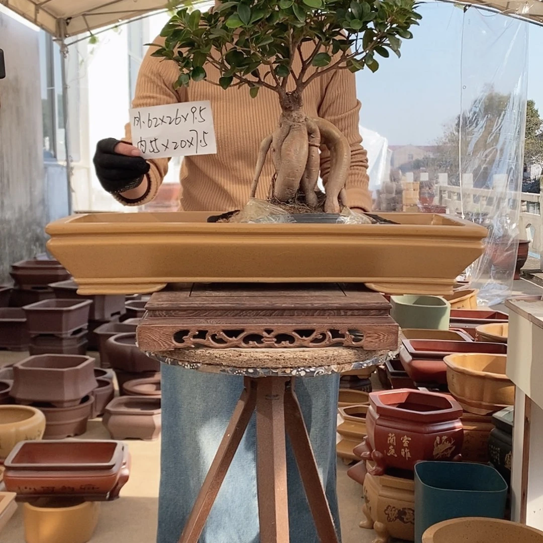 花盆紫砂紫砂花盆