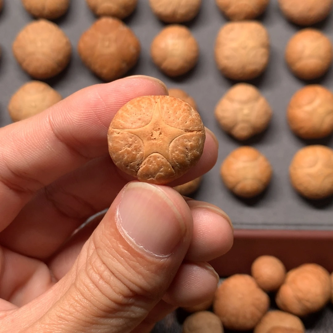 华***华吊坠凤眼菩提20.6mm尼泊尔五星，打孔后不退换