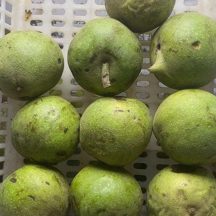 吊坠文玩核桃宫灯10个