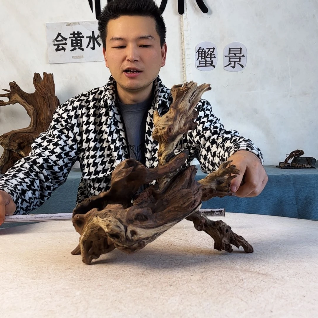 周末福利沉木造景爬宠造景