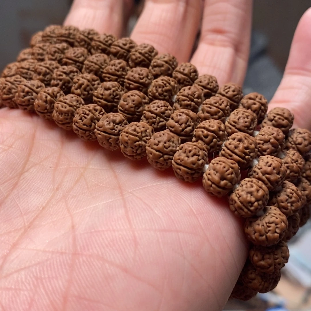 瓷***菩提籽类老树王长串