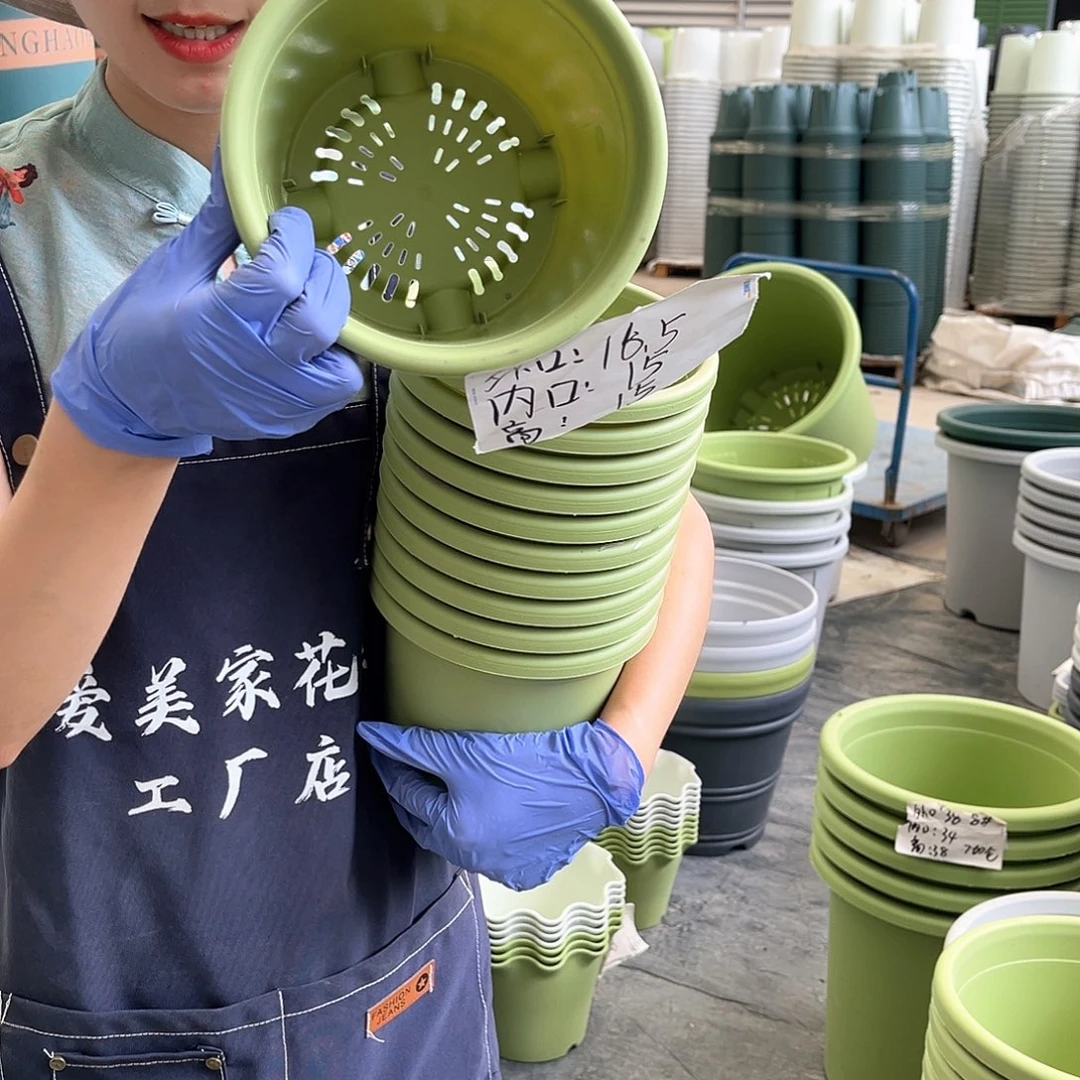 四季盆2#果绿色10个无托