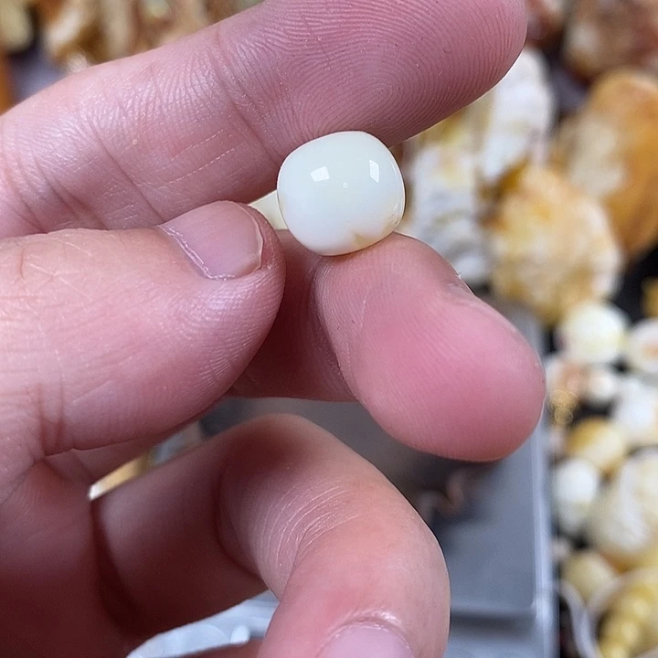 裸石琥珀未镶嵌我