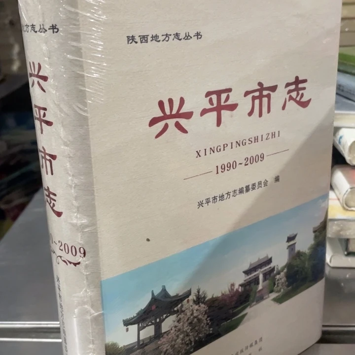 兴平市志精装书籍