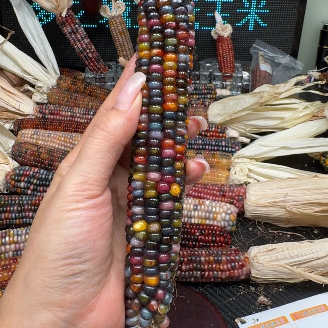 柏香籽/百香籽吊坠女****瞳