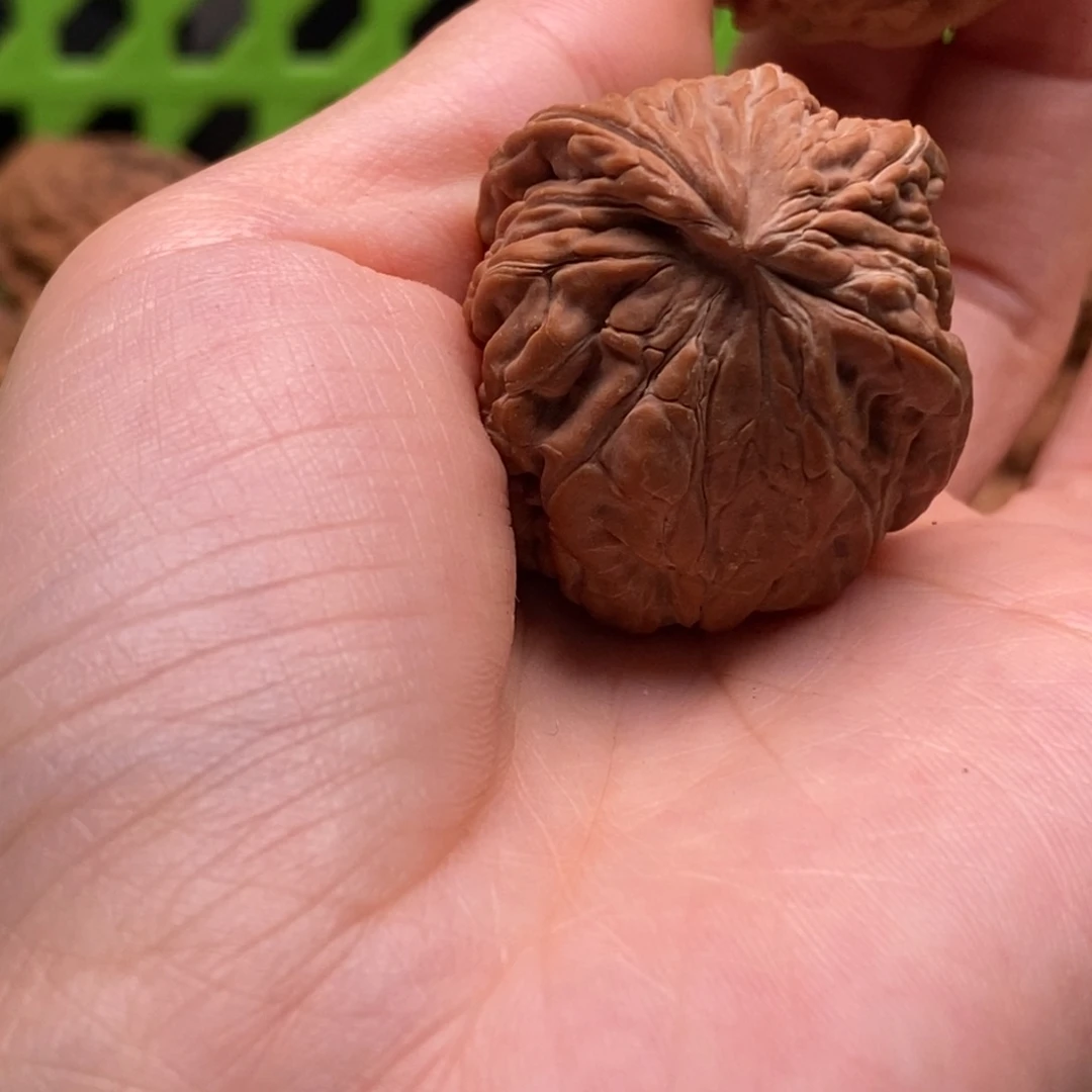 飞***觉核桃定制商品不退不换