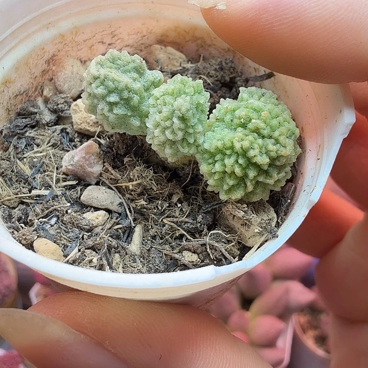 一物一拍，感谢支持