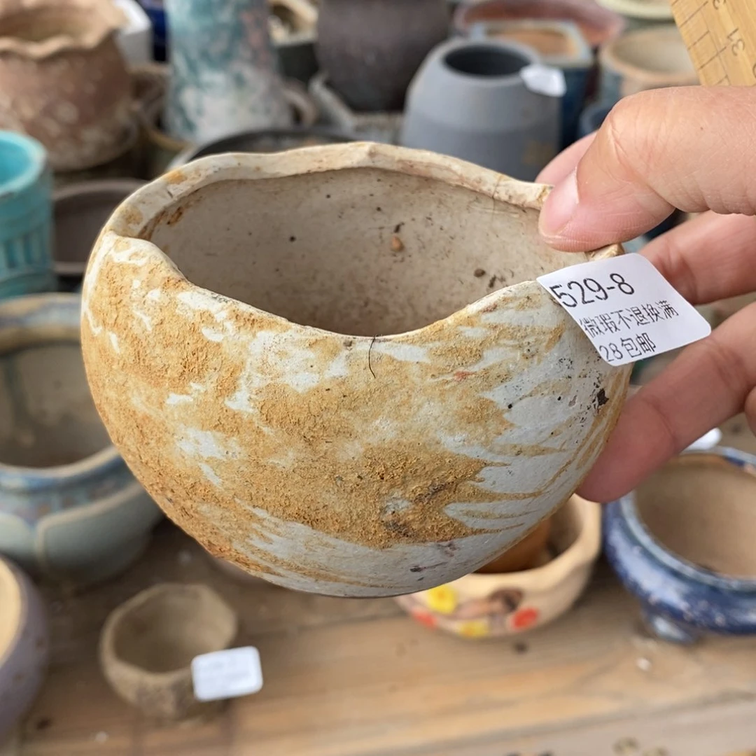 8号多肉盆口径8小可爱