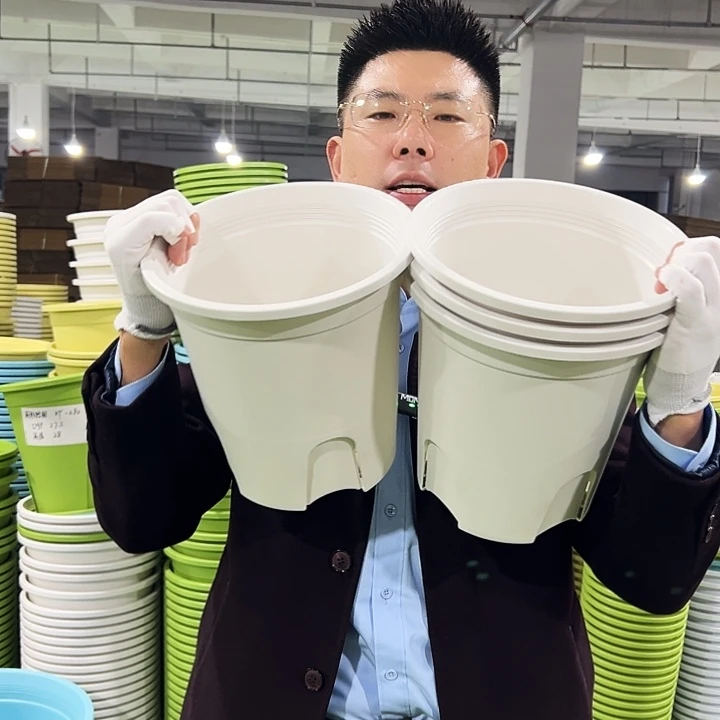 正品圆控口24高24白色8只无托
