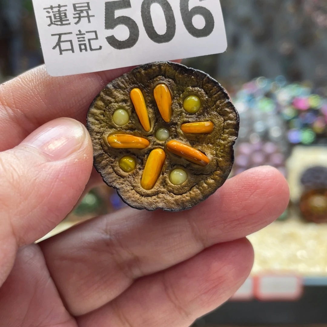 核桃木/黑胡桃（胡桃木）山*海506