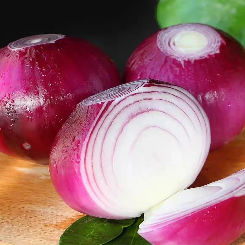 新鲜紫皮洋葱炒鸡蛋用的洋葱农家自种甜脆圆葱头当季蔬菜特产