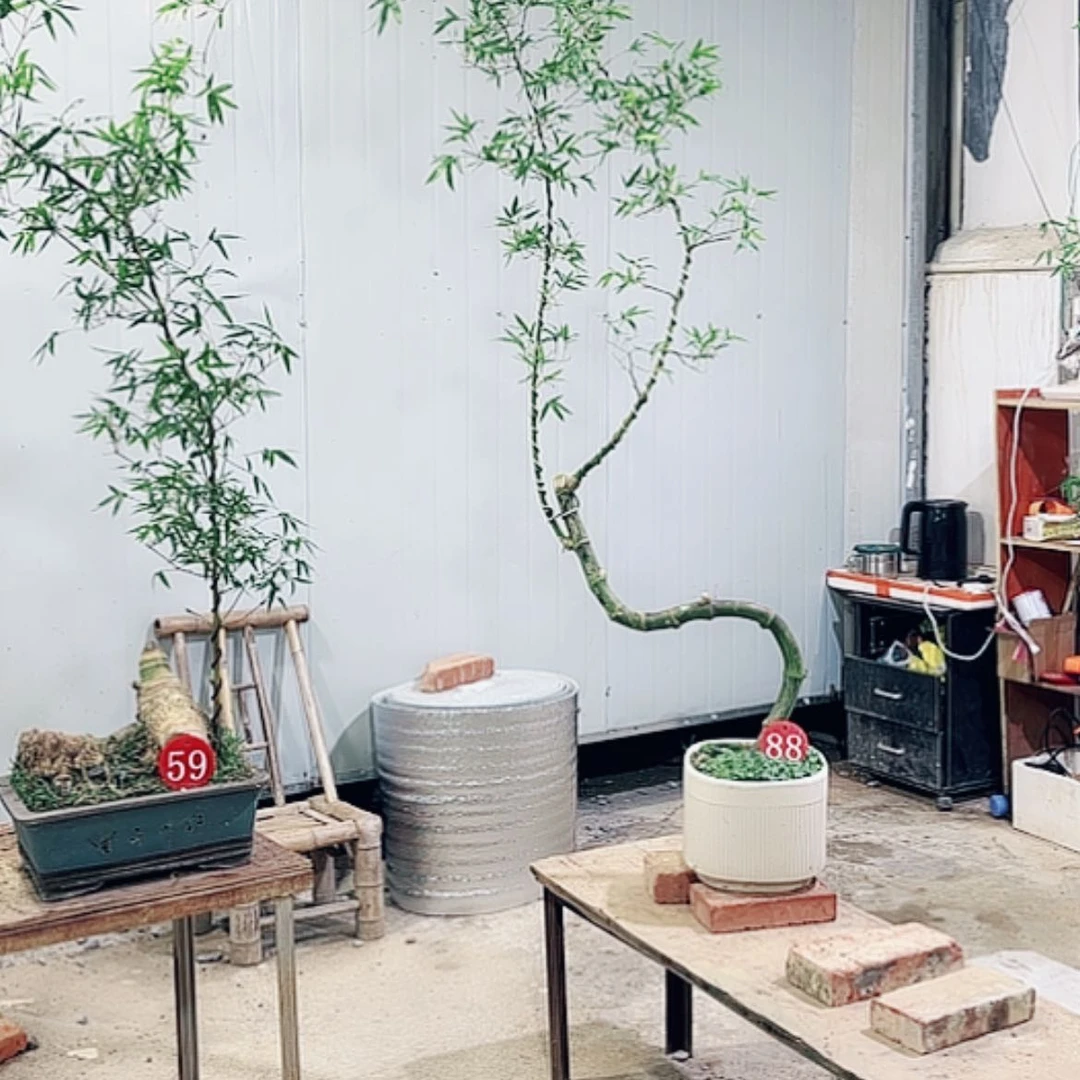 【闪购商品】完全开放执**?