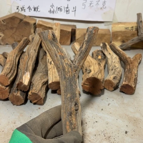 大果紫檀（缅甸花梨）长****学