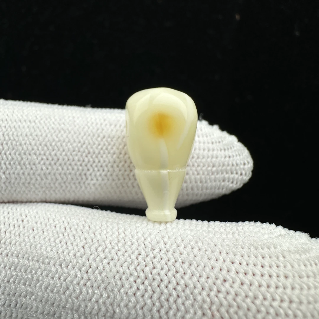 Y6934天然原矿蜜蜡 妖花三通 10*20mm抖音基地质检发货