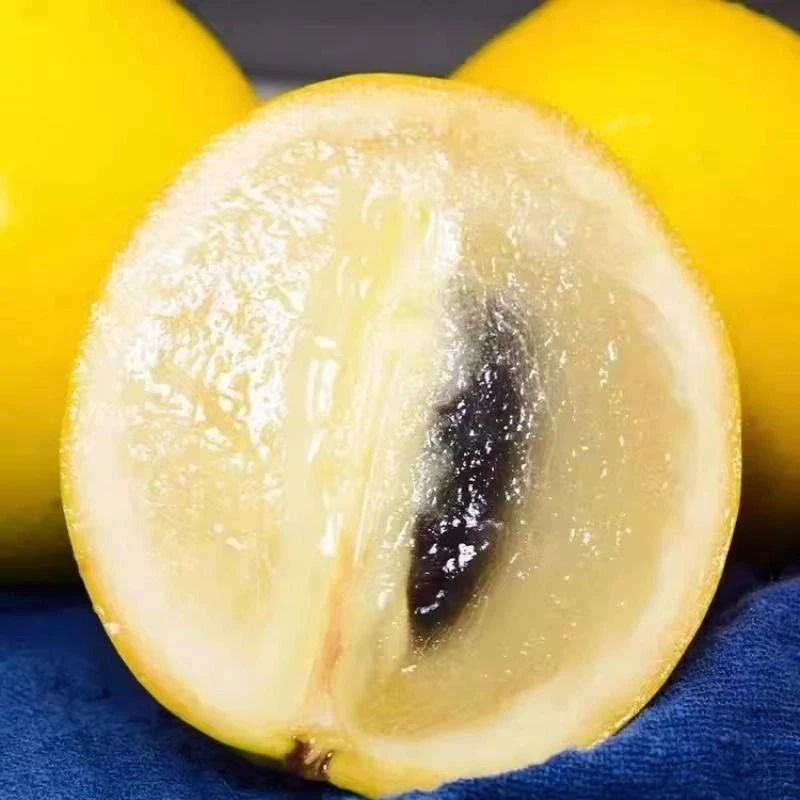 【顺丰包邮】正宗冬蜜黄晶果水果果新鲜大果黄金果稀有孕妇水果