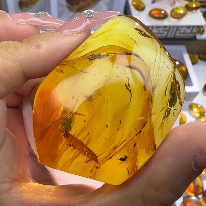 琥珀未镶嵌裸石虫珀标本