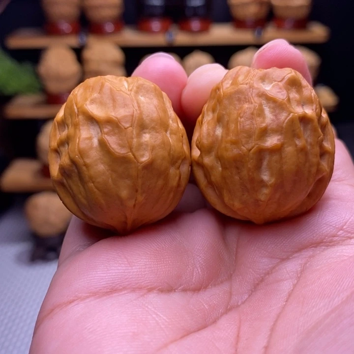 木质类云铁甲壳虫25号