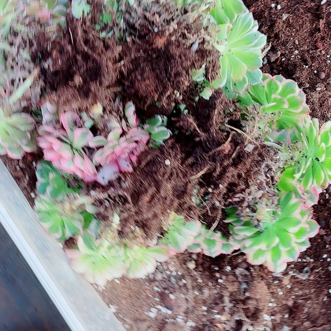 时***谎我在外面吃饭了8889