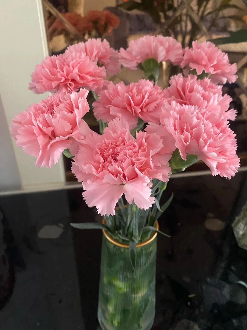 19朵康乃馨限介休市区下单，外地不发，乡镇自取