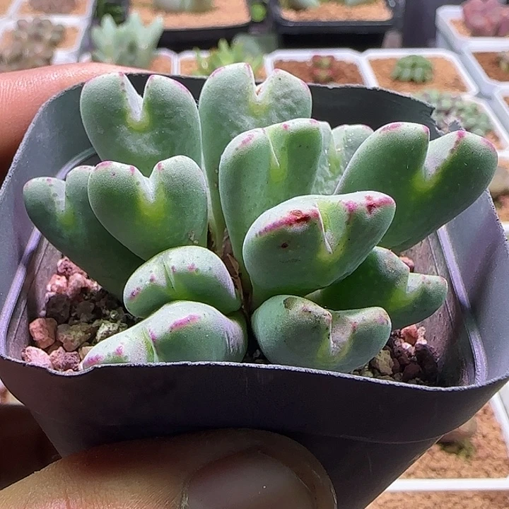 恒***李哈哈哈哈哈哈哈哈哈哈828