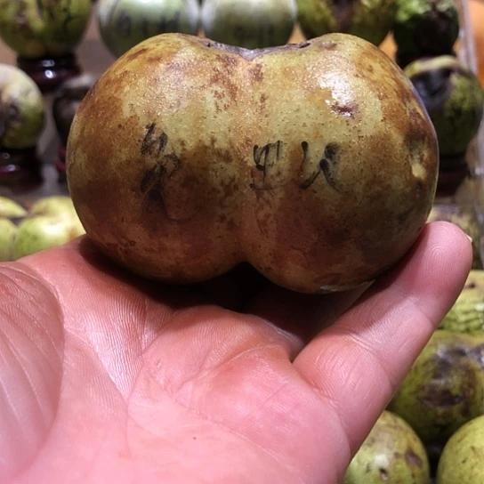 吊坠桃核核桃核桃