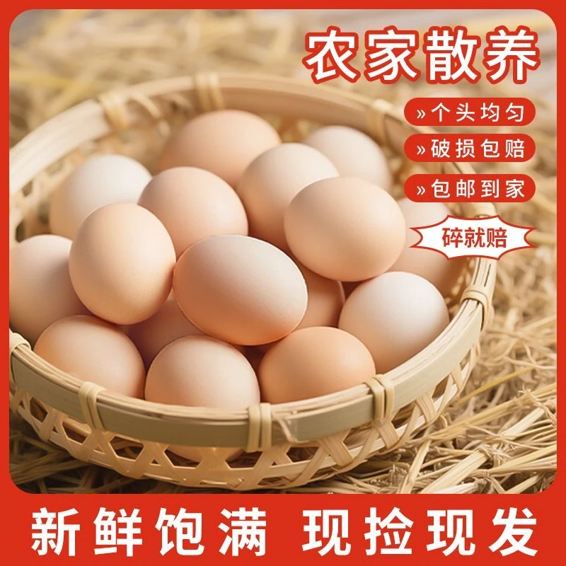【顺丰包邮】30枚/箱农家散养鸡蛋现捡现发新鲜谷物好蛋破损包赔
