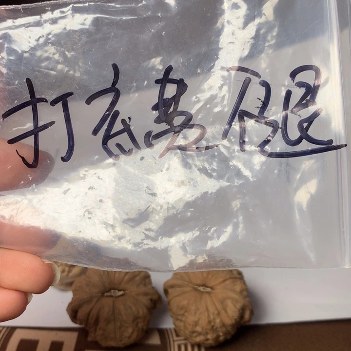 打底不退不退不退不
