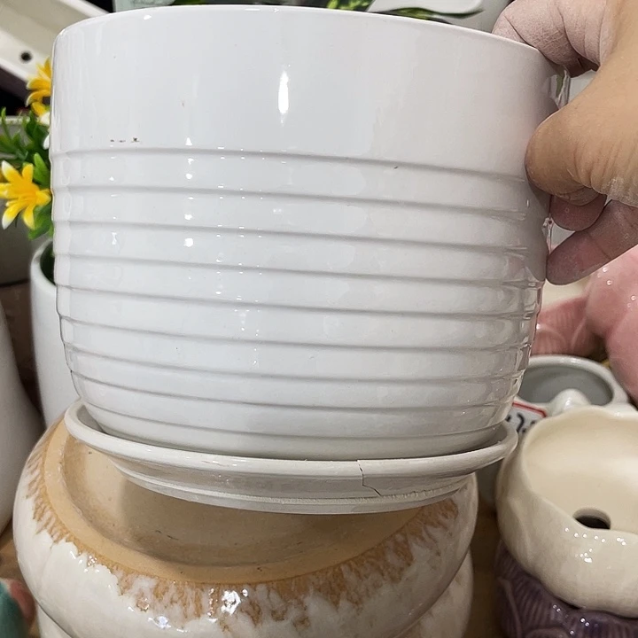 花盆花盆花盆花盆花盆花盆花盆